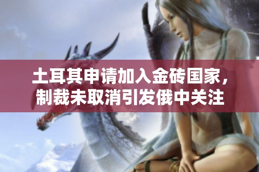 土耳其申請加入金磚國家，制裁未取消引發(fā)俄中關(guān)注