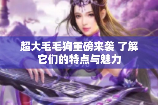 超大毛毛狗重磅來襲 了解它們的特點(diǎn)與魅力
