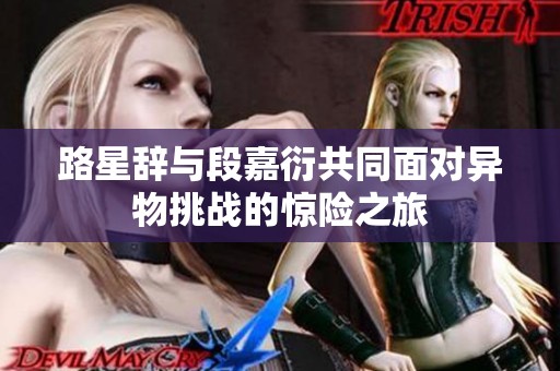 路星辭與段嘉衍共同面對(duì)異物挑戰(zhàn)的驚險(xiǎn)之旅