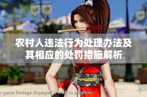 農(nóng)村人違法行為處理辦法及其相應(yīng)的處罰措施解析