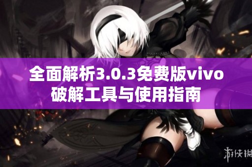 全面解析3.0.3免費版vivo破解工具與使用指南