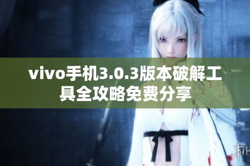 vivo手機3.0.3版本破解工具全攻略免費分享