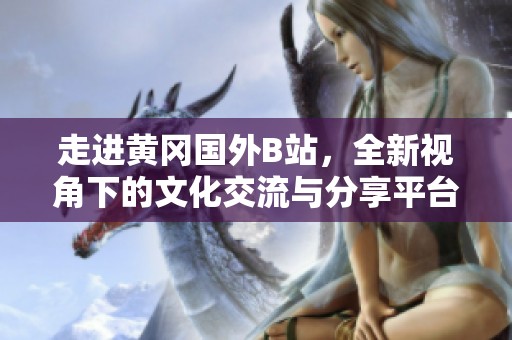 走進(jìn)黃岡國外B站，全新視角下的文化交流與分享平臺