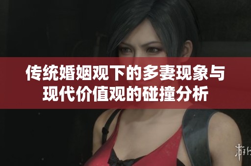 傳統(tǒng)婚姻觀下的多妻現(xiàn)象與現(xiàn)代價(jià)值觀的碰撞分析