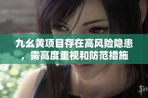 九幺黃項目存在高風險隱患，需高度重視和防范措施