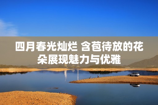 四月春光燦爛 含苞待放的花朵展現(xiàn)魅力與優(yōu)雅