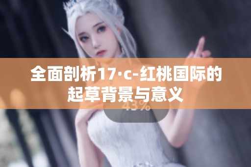全面剖析17·c-紅桃國際的起草背景與意義