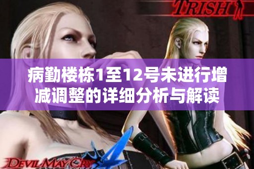 病勤樓棟1至12號(hào)未進(jìn)行增減調(diào)整的詳細(xì)分析與解讀