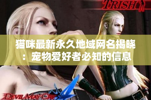 貓咪最新永久地域網(wǎng)名揭曉：寵物愛好者必知的信息