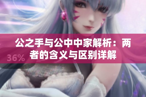 公之手與公中中家解析：兩者的含義與區(qū)別詳解