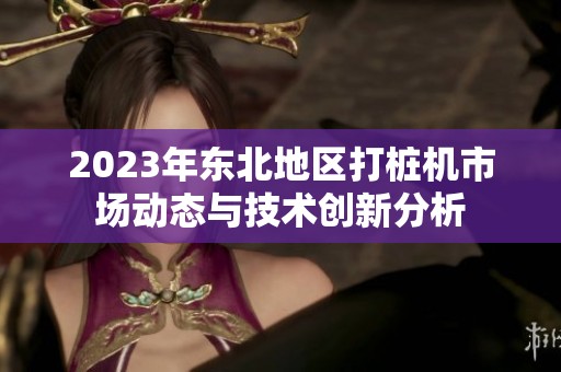 2023年東北地區(qū)打樁機市場動態(tài)與技術(shù)創(chuàng)新分析