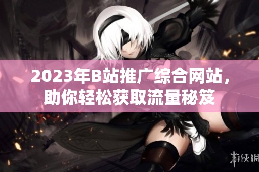 2023年B站推廣綜合網(wǎng)站，助你輕松獲取流量秘笈