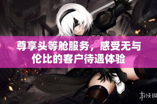 尊享頭等艙服務(wù)，感受無與倫比的客戶待遇體驗