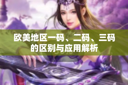 歐美地區(qū)一碼、二碼、三碼的區(qū)別與應用解析