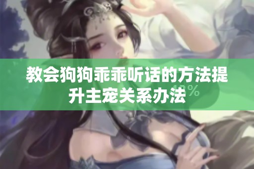 教會狗狗乖乖聽話的方法提升主寵關(guān)系辦法