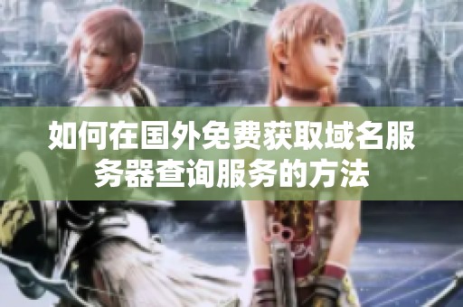 如何在國外免費獲取域名服務(wù)器查詢服務(wù)的方法