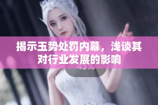 揭示玉勢處罰內(nèi)幕，淺談其對行業(yè)發(fā)展的影響