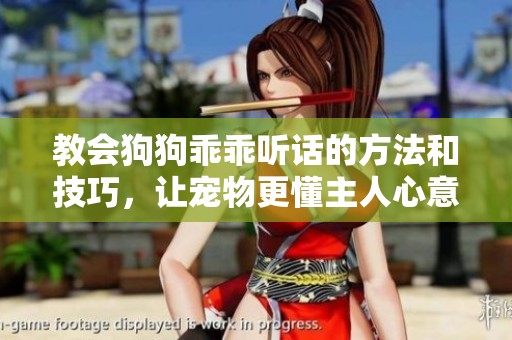 教會(huì)狗狗乖乖聽(tīng)話的方法和技巧，讓寵物更懂主人心意