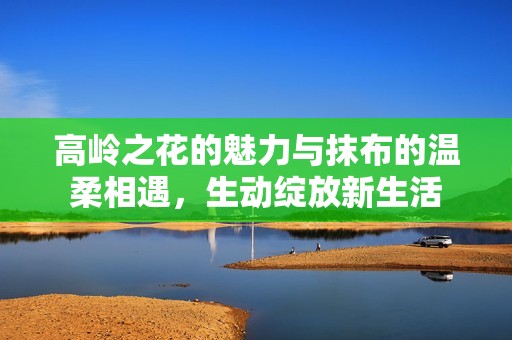 高嶺之花的魅力與抹布的溫柔相遇，生動綻放新生活