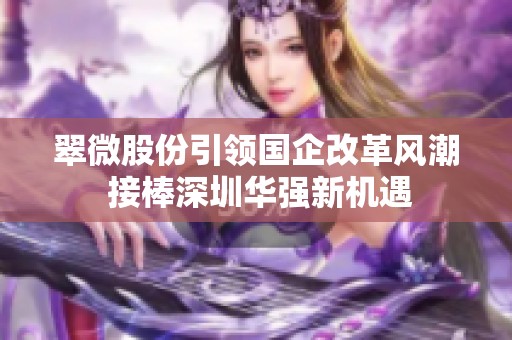 翠微股份引領國企改革風潮 接棒深圳華強新機遇