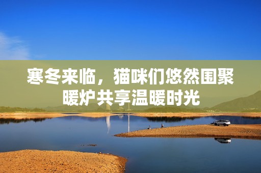 寒冬來(lái)臨，貓咪們悠然圍聚暖爐共享溫暖時(shí)光