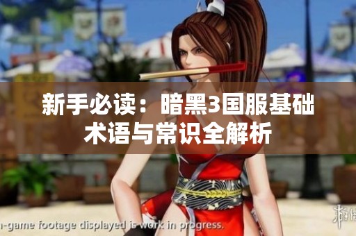 新手必讀：暗黑3國(guó)服基礎(chǔ)術(shù)語(yǔ)與常識(shí)全解析