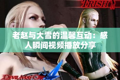 老趙與大雪的溫馨互動：感人瞬間視頻播放分享